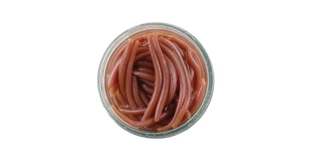Doprodej zásob | GULP HNOJŇÁK 5CM HNĚDÁ 60ks