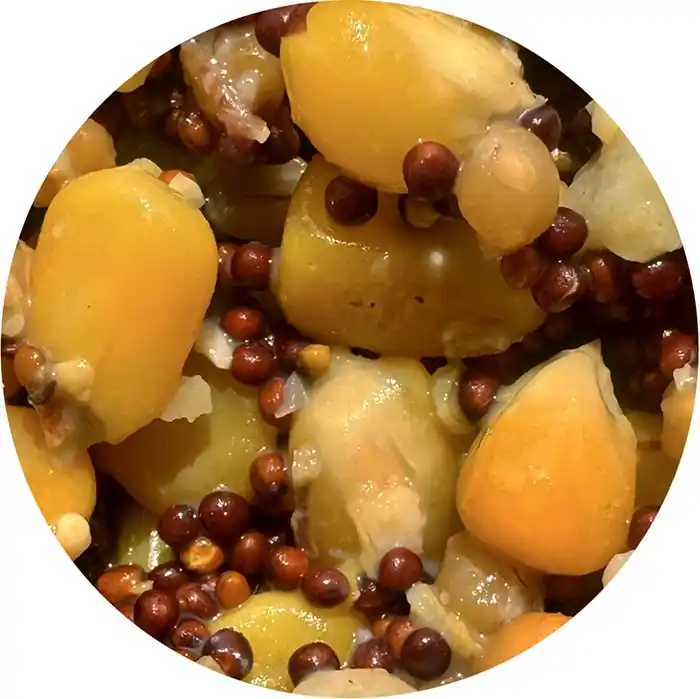 Partikl Mivardi Mix 2,5kg - Pospěšte si