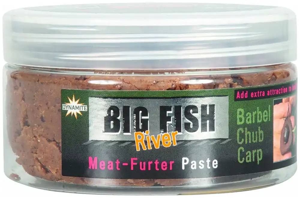 Obalovací Pasta Dynamite Baits Big Fish River Paste Cheese Garlic 250g - Přímo z výroby