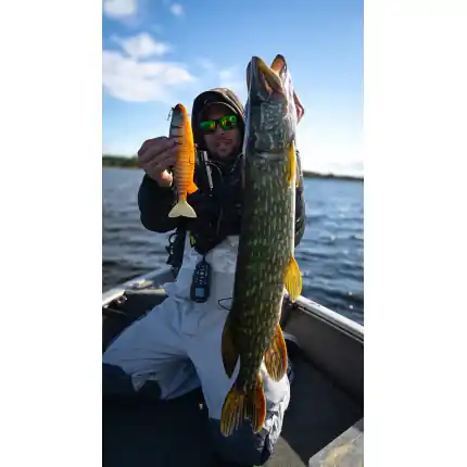 "Jointed Replicant 32cm 13"" Orange Belly Perch UV" | Výhodná cena
