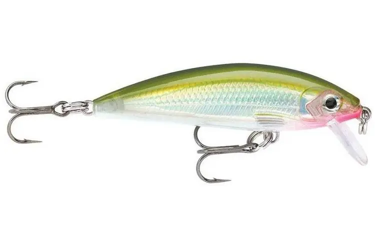 Snadné objednání | Wobler Rapala X-Rap CountDown 07_7cm_10g_OG