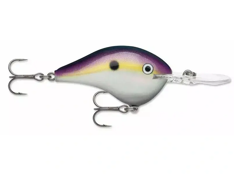 Wobler Rapala DT 14_BGSD - Poslední kusy
