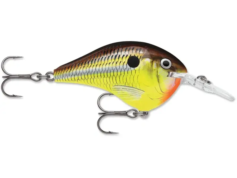 Koupit nyní | Wobler Rapala DT 06_HM