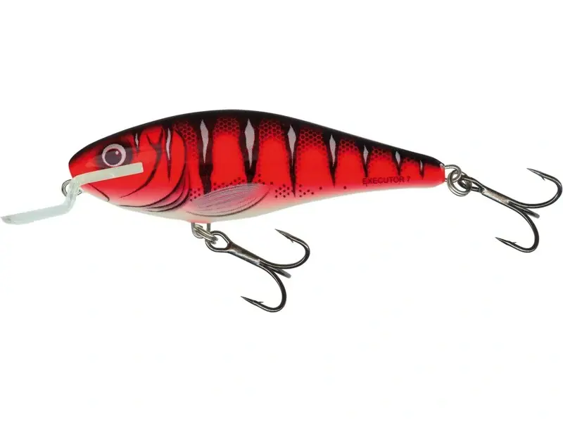 Objednejte nyní | Salmo Executor 12 SR Red Wake