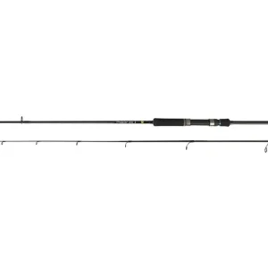 Albastar Prut Spinning Trout 2m 8-12g 2díl | Přidat do košíku