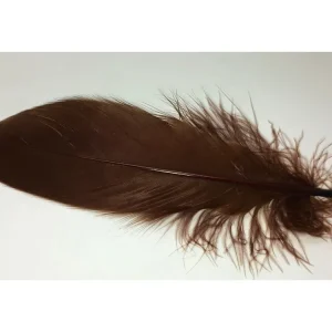 Veniard Husí Peří Goose Shoulder Stiff Dark Brown 4ks | Doprodej zásob